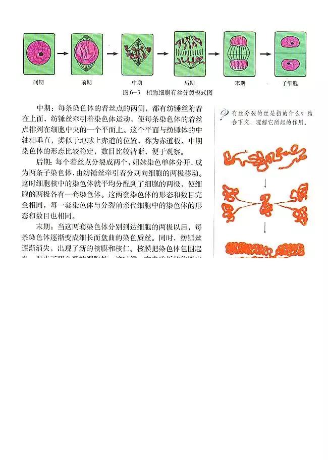 人教版高中生物（必修1）电子课本（高清版）