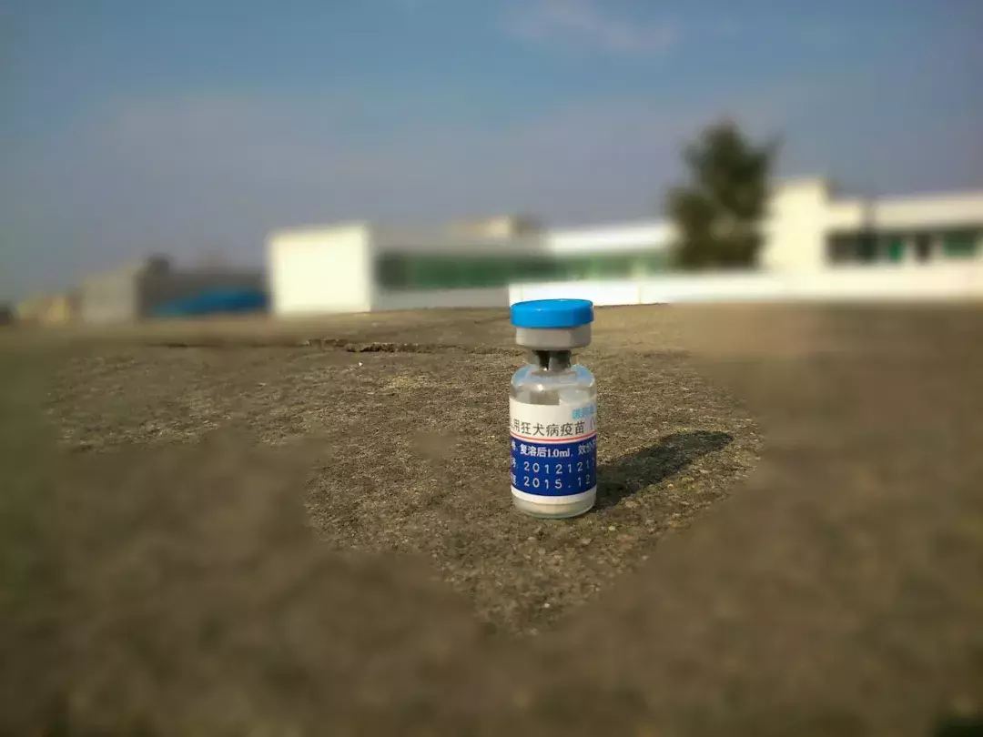 11月食品安全最热新闻月度排行榜丨食安舆情