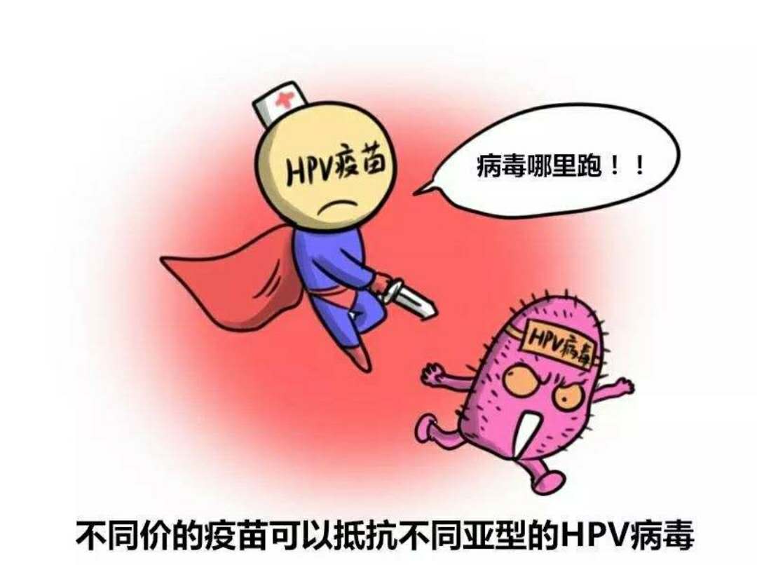 80%女性都可能感染hpv,这种病毒感染20年才发病,发病即患癌