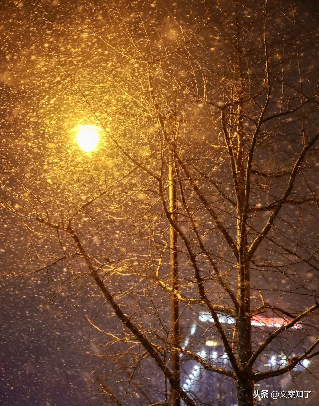 下雪路灯实景图片
