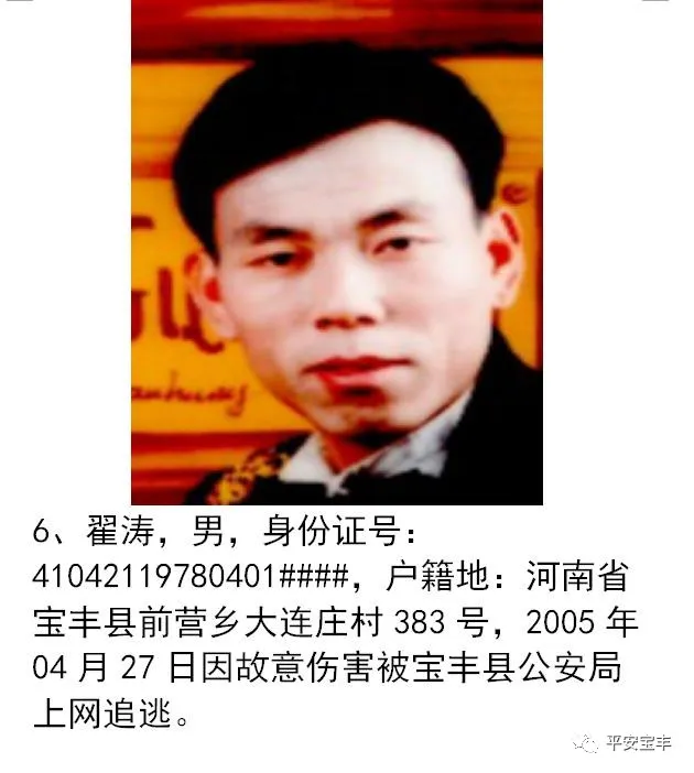 网上逃犯,网上逃犯名单查询系统