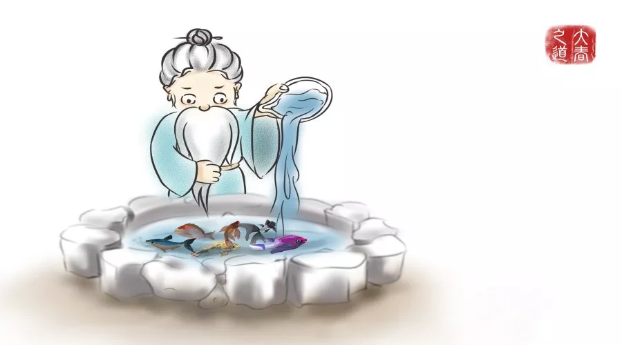 健康观念：治与调的区别