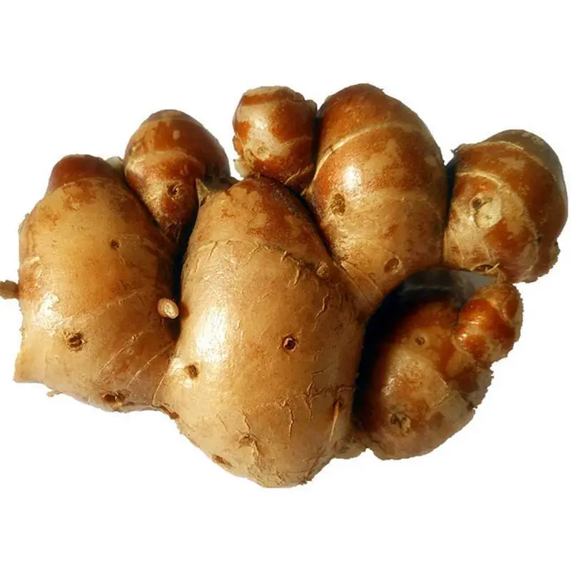 01,姜的种类及其功效