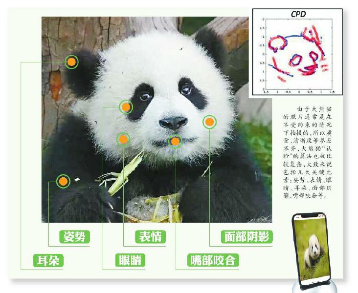 金丝猴：下一步能不能教我网上买香蕉！