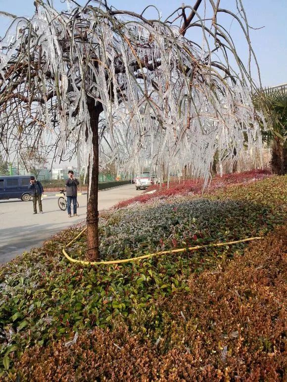 重回长安二中，解锁了一段青春