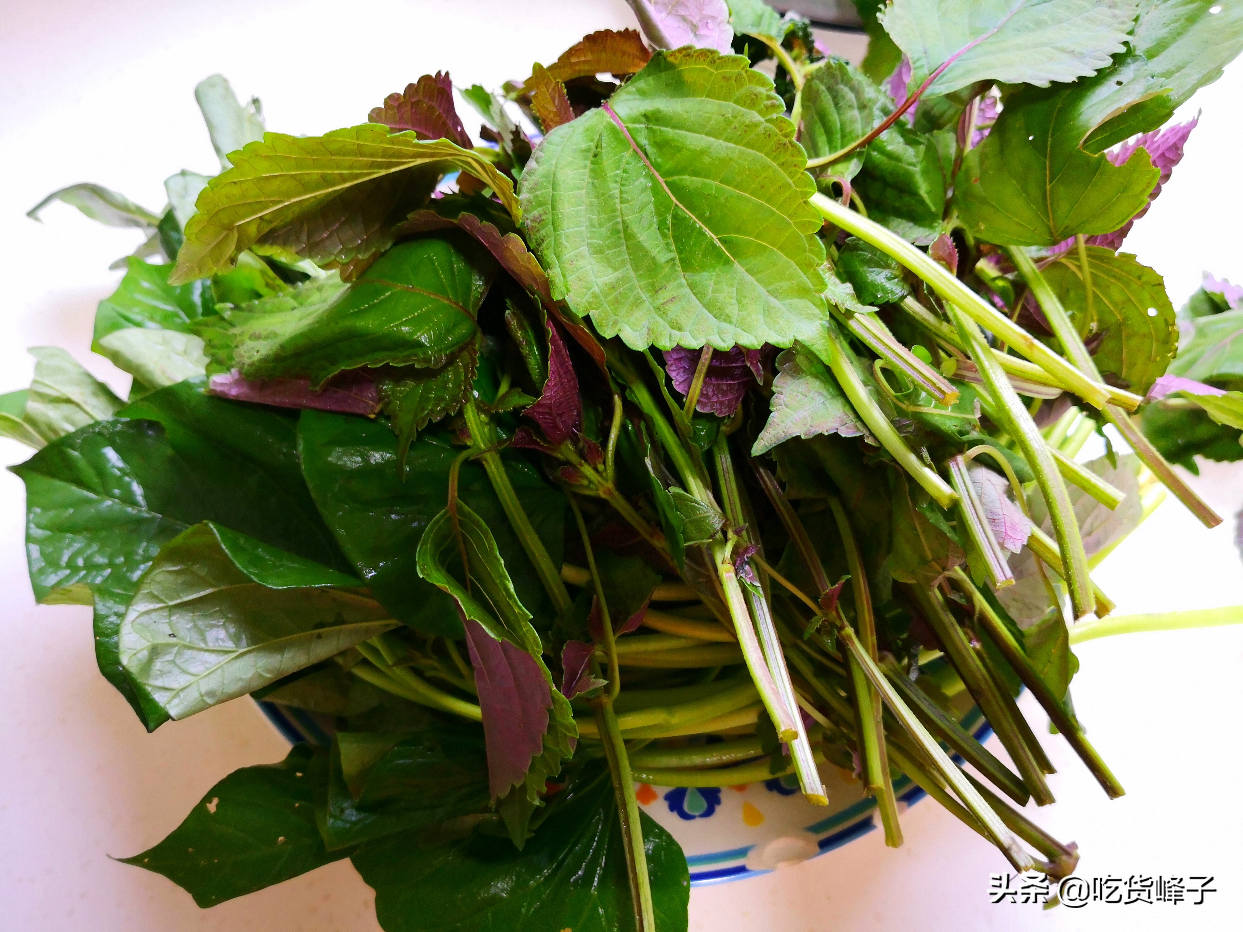 苏子叶的保存方法 -骁龙网