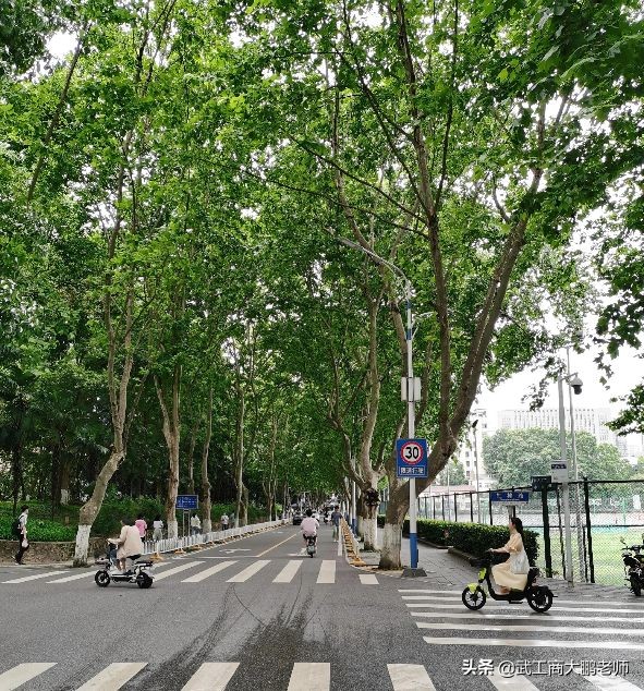 华中科技大学：合并后同济医学地位下滑，如今深度融合，未来可期