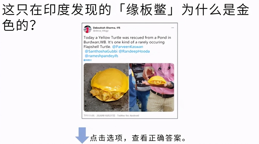 高考大作战！20道冷门又难解的试题等你来解答