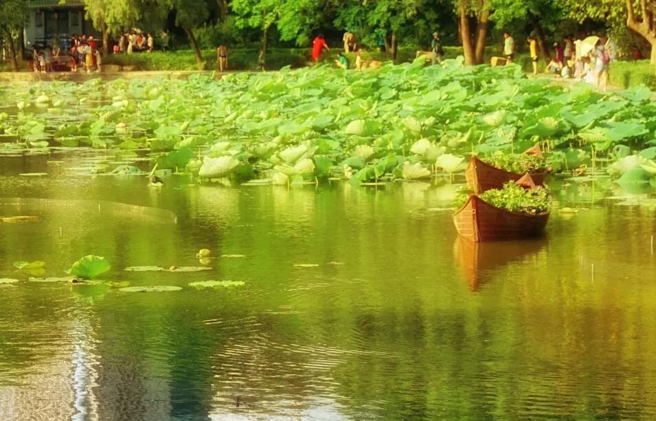 深圳十大免费特色的湖泊公园