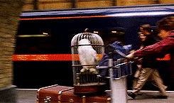 看完这15个《哈利波特》场景拍摄秘密，才发现“魔法”真的存在