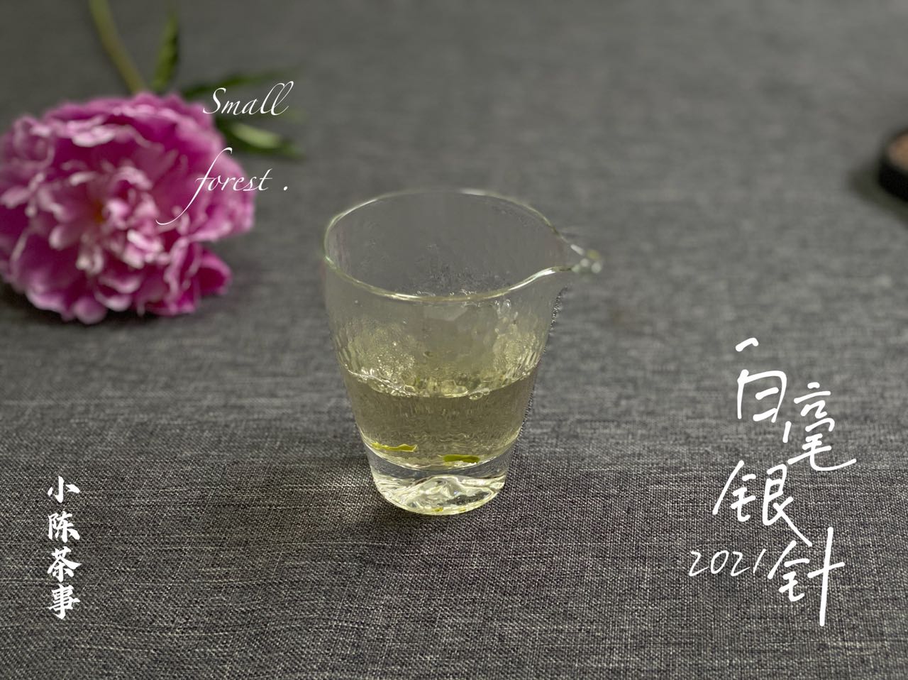 新手第一次买白茶，选什么比较好？白毫银针、白牡丹还是寿眉？