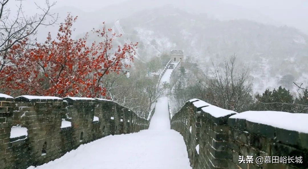 和敬一丹漫步雪中长城 迎接冬日美好