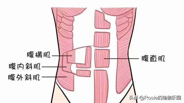 肋骨外翻是什麼?如何改善?5個動作改善煩惱讓你美出新維度