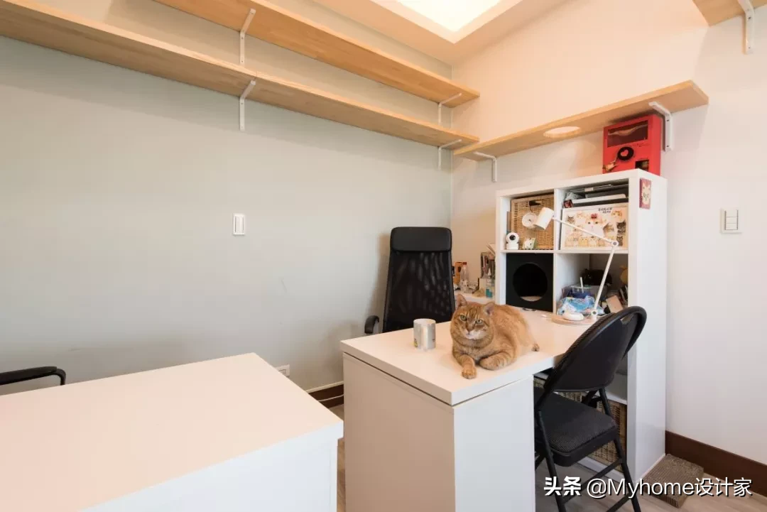 8只猫与人共住,舒适北欧风!竟是宜家爆改出租房!猫皇不亦乐乎