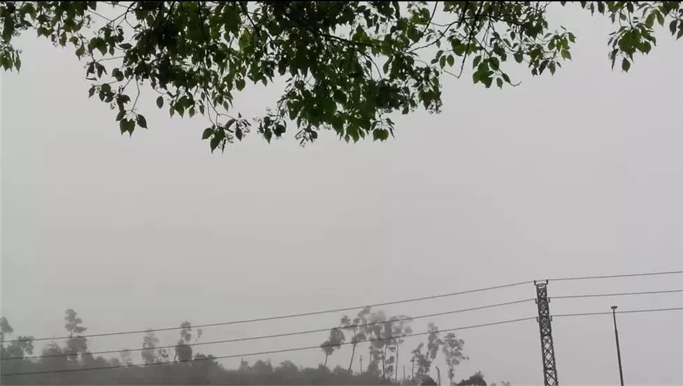 七绝.晨练逢雨