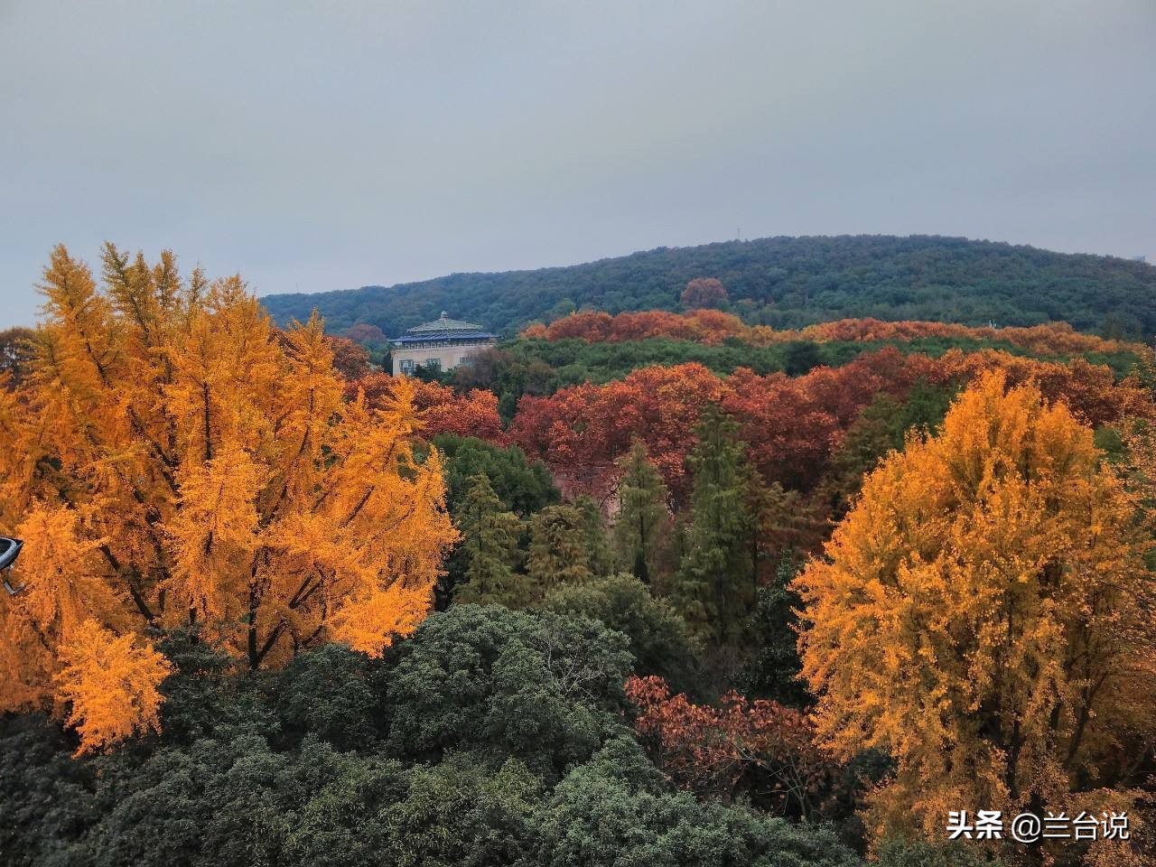 武汉大学校址原名罗家山，被硬改为珞珈山，背后故事耐人寻味