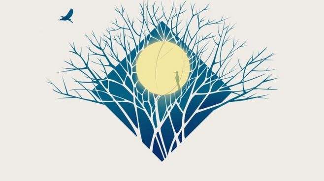 「专业介绍」视觉传达