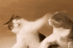 2020版最新法官、检察官表情大全！哈哈哈