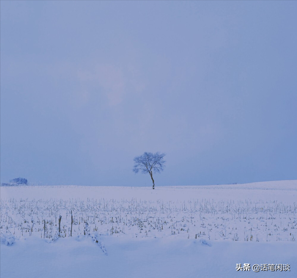 8句和雪相关的唯美诗词：四无尘、雪飞云起，有种天上人间的仙气