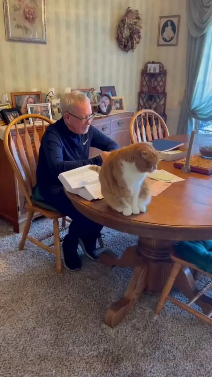 老人被診斷出癌症後，貓咪一直給予安慰，令人欣慰的事情發生了