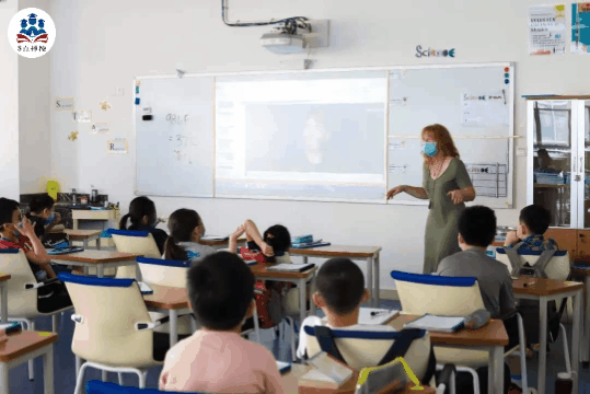 学校的较量：蛇口国际、贝赛思、哈罗、爱文、荟同、国王 你选谁