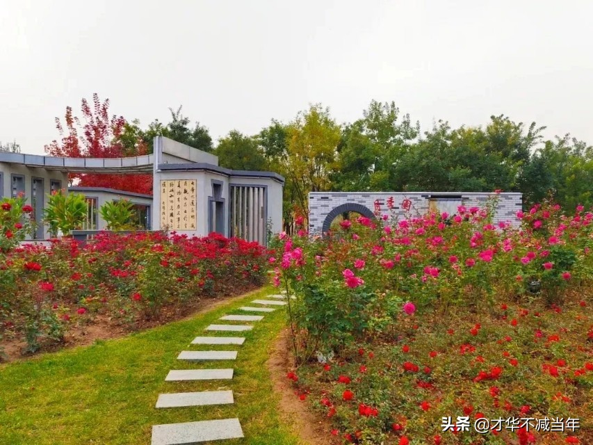 山大商务学院，行不行？