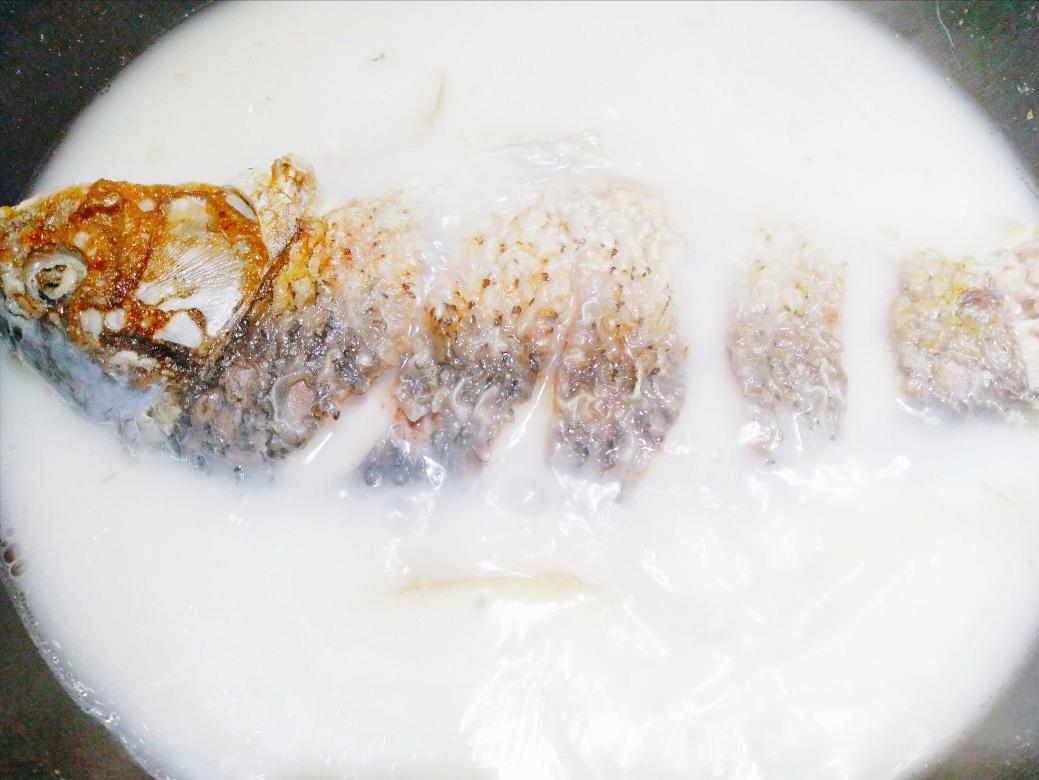 孕妇喝的鱼汤怎么熬？牢记3个小技巧，鱼汤无腥味，奶白色特别鲜