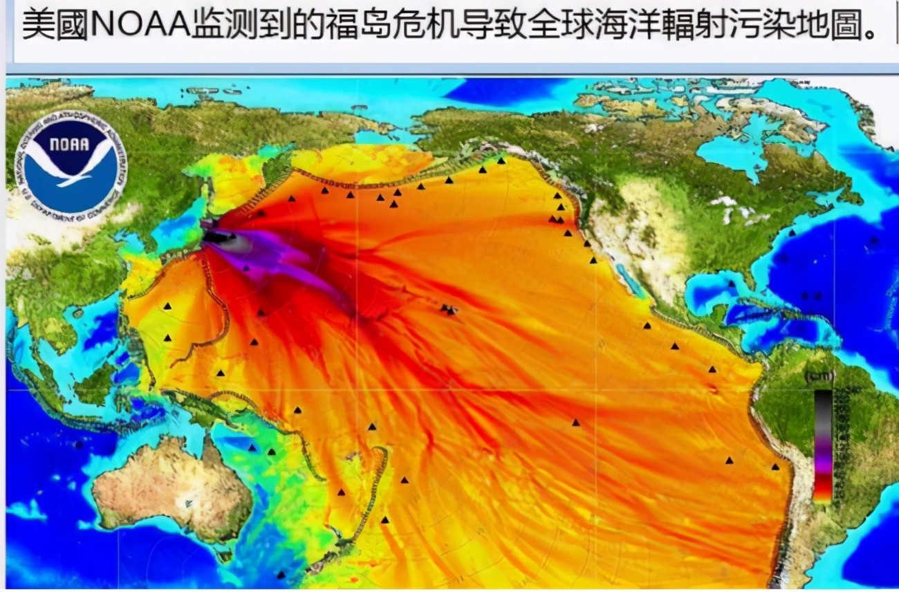 日本福岛隔离区，出现新型放射性杂交野猪，对人类有哪些危害？