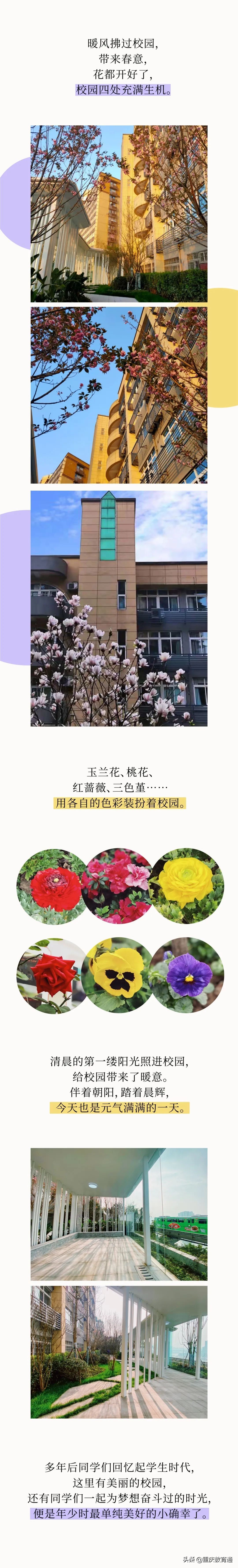 重庆未来的金牌初中：重庆57中学校（巴蜀中学教育集团成员）