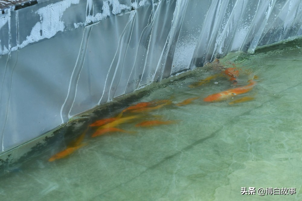 广西博白县中学做了大量工作，确保考生以最佳状态参加高考