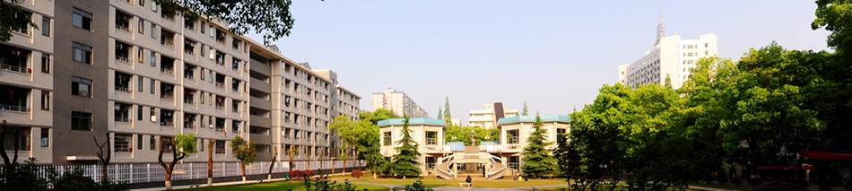 中南大学研究生报录比（中南大学考研究竟好考吗）