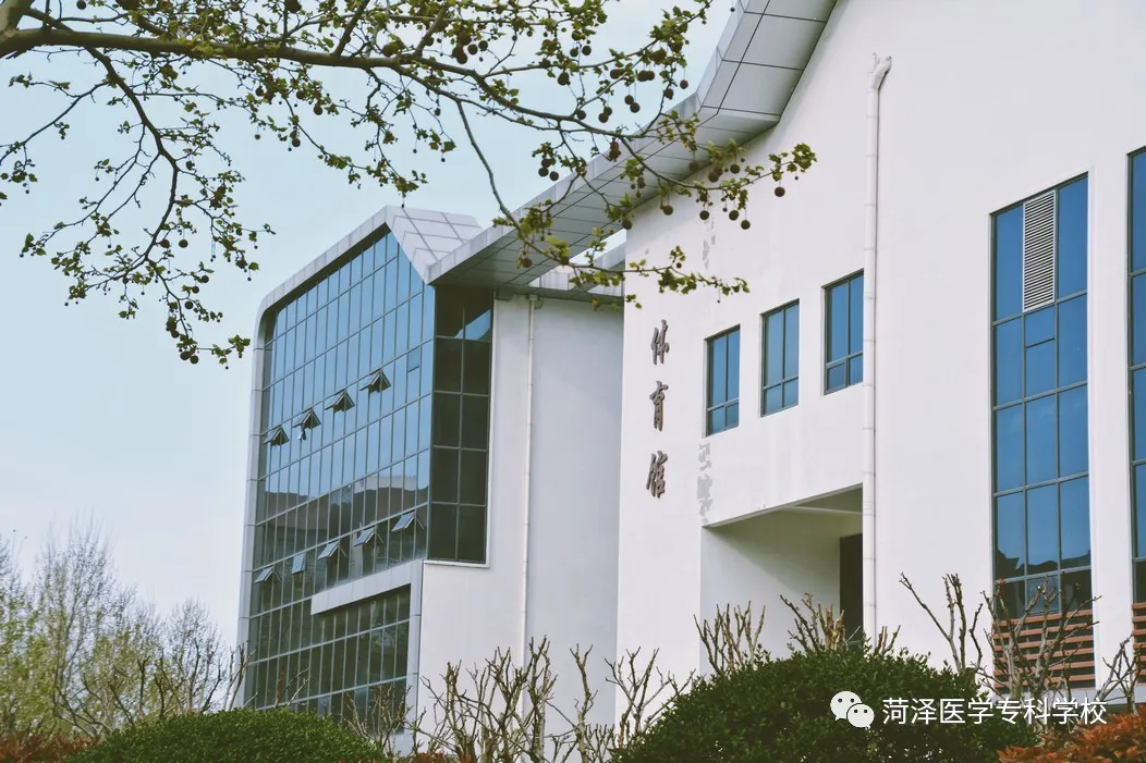 菏泽医学专科学校牡丹，又是姹紫嫣红开遍