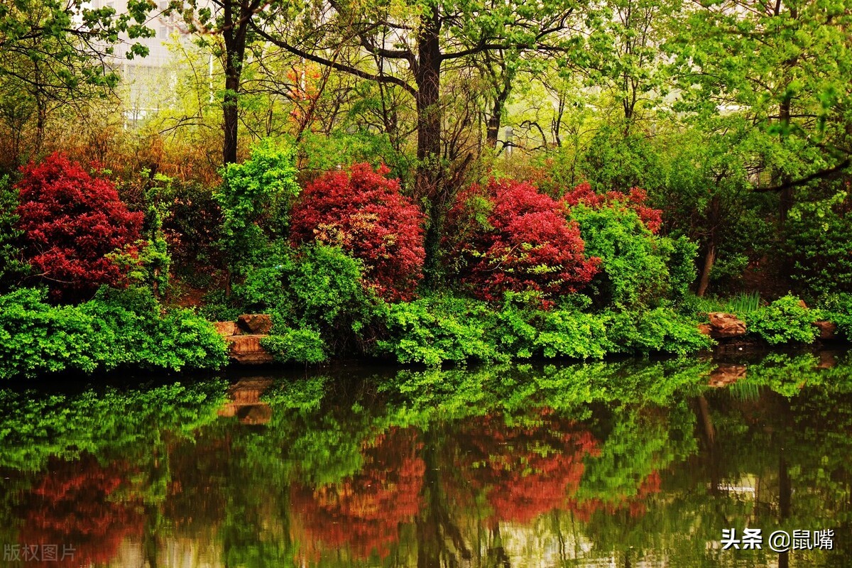 《列子》原文 译文（二）