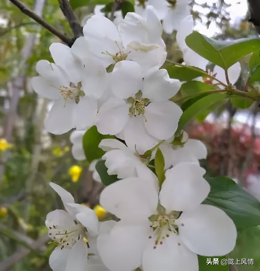 慎终追远一一怀念我的父亲