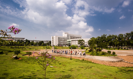 全国重点大学美术设计类专业较强学费低，录取分数低到意料之外