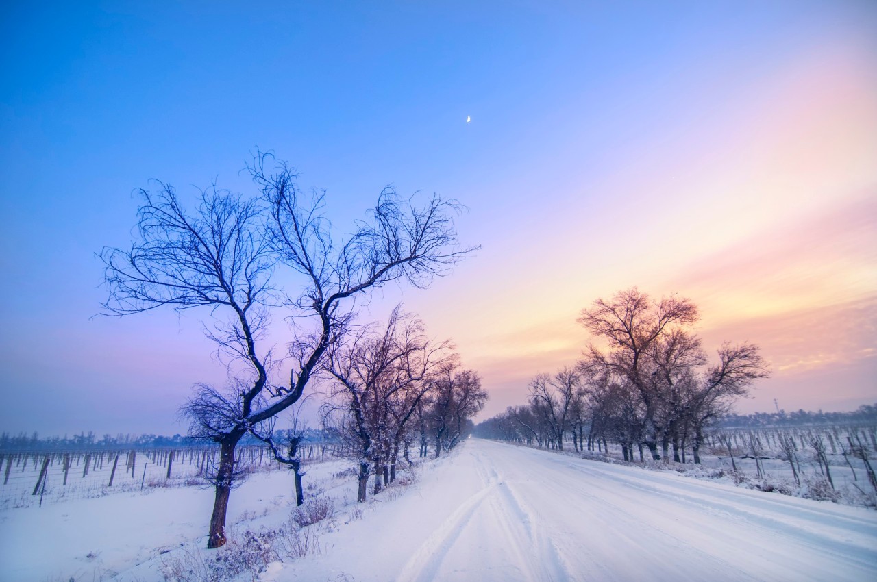 8首冬天的诗词，写尽冬天的美丽：岁月寒冷，因为你的温暖