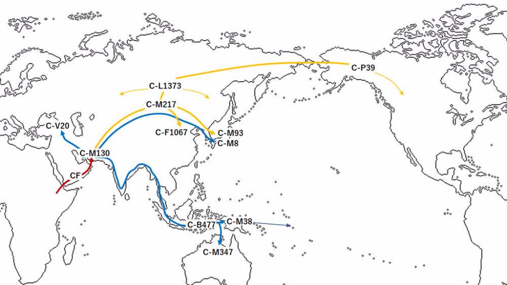 通过DNA检测发现，中国境内的大部分民族都是同宗同源的关系