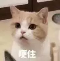 欧阳娜娜、王源读的学校有钱就能进？这个伯克利是什么来头...