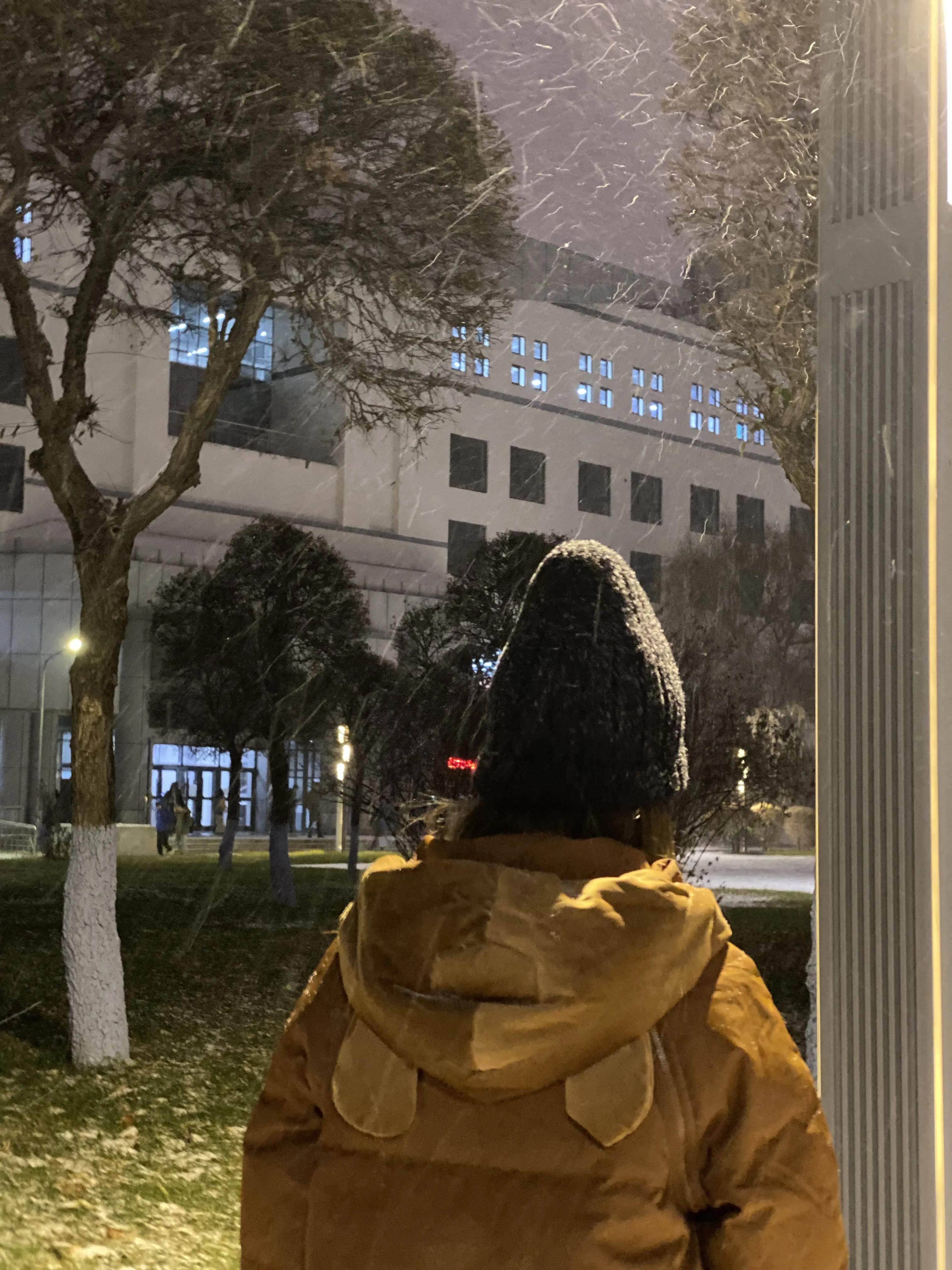 哈尔滨的初雪——上下一白