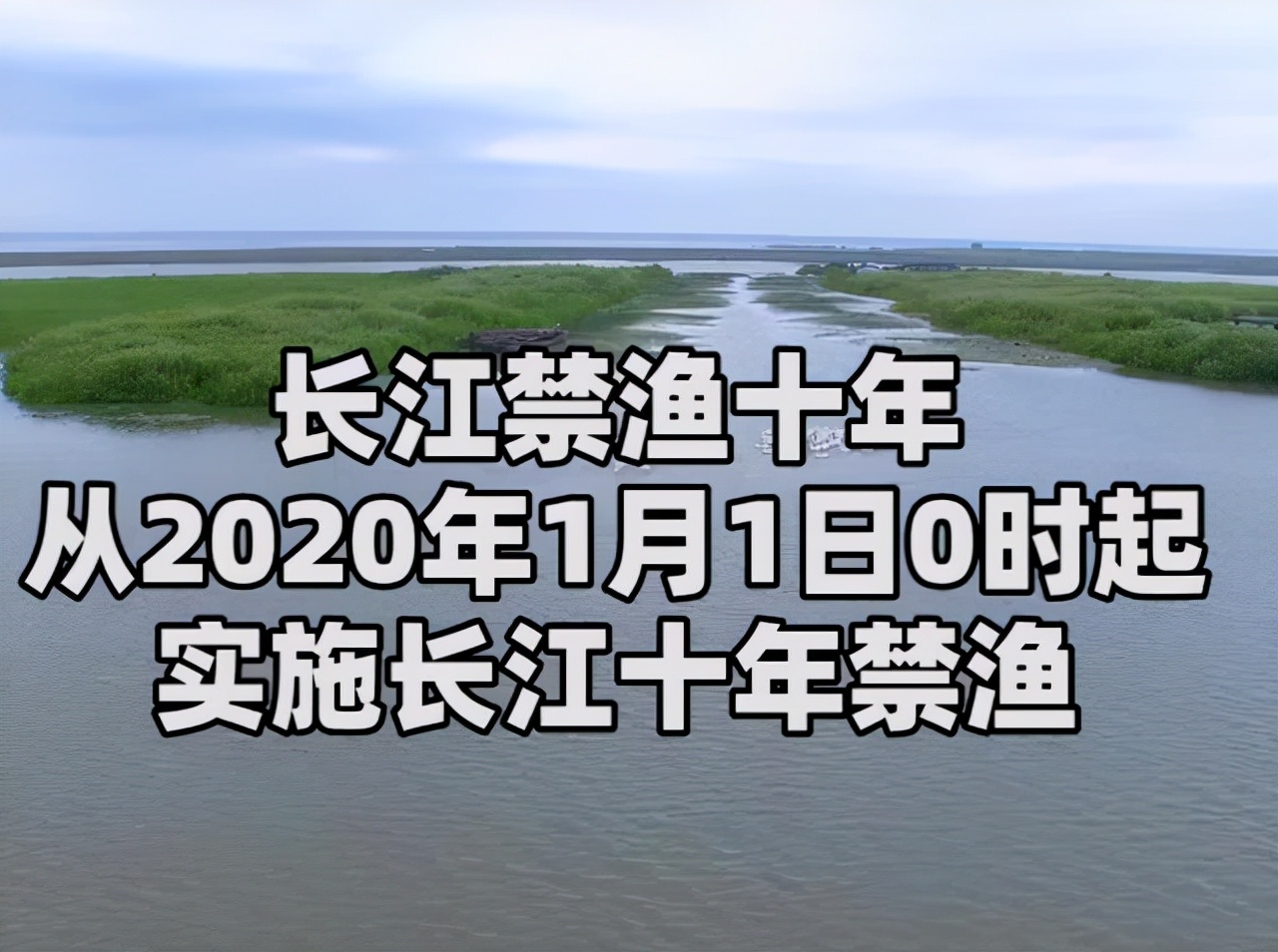 长江禁渔为何需要十年