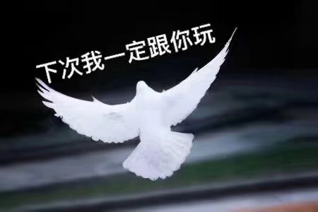 奉献与亲情！《以撒的结合》剧情杂谈（上）