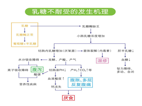 你知道吗？70%婴儿腹泻与乳糖不耐受有关，你却在给孩子傻傻吃药