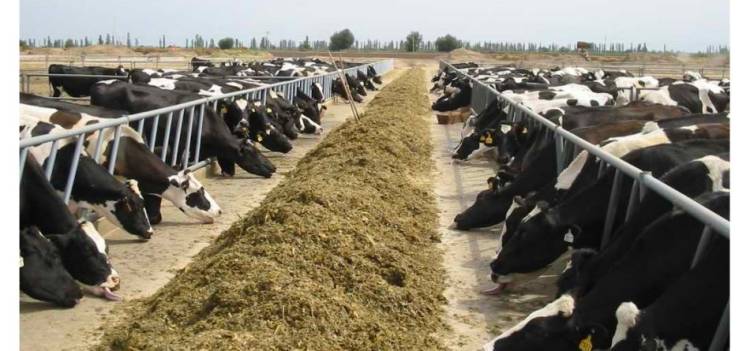 攪拌精細款日糧可用常規(guī)飼料攪拌機