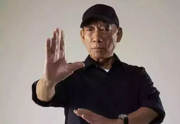 《叶问外传:张天志》,动作片的饕鬄盛宴!