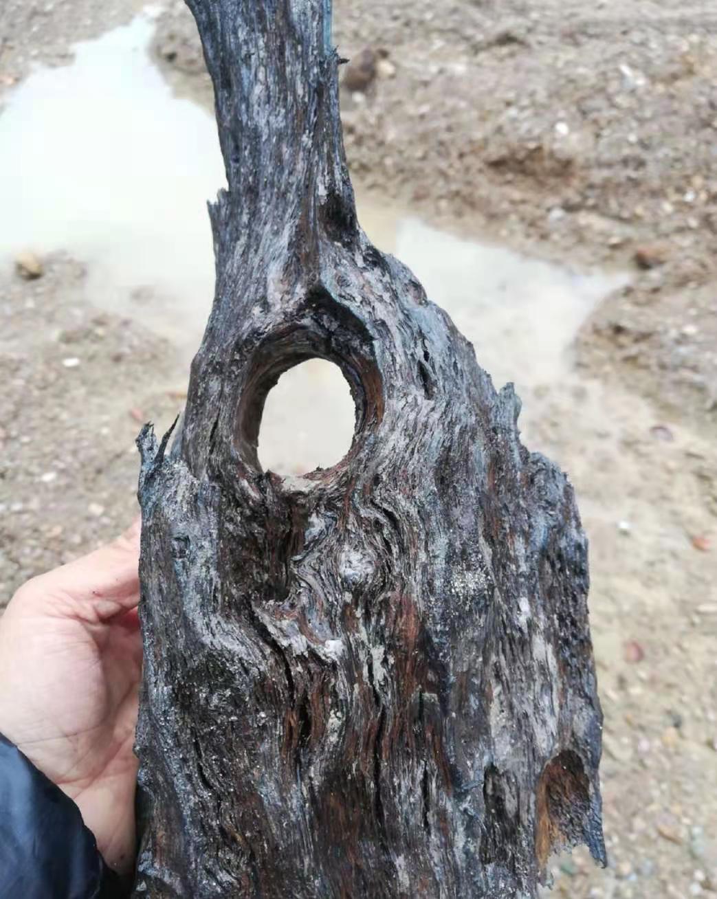 乌木——一种近乎绝迹的稀有木材