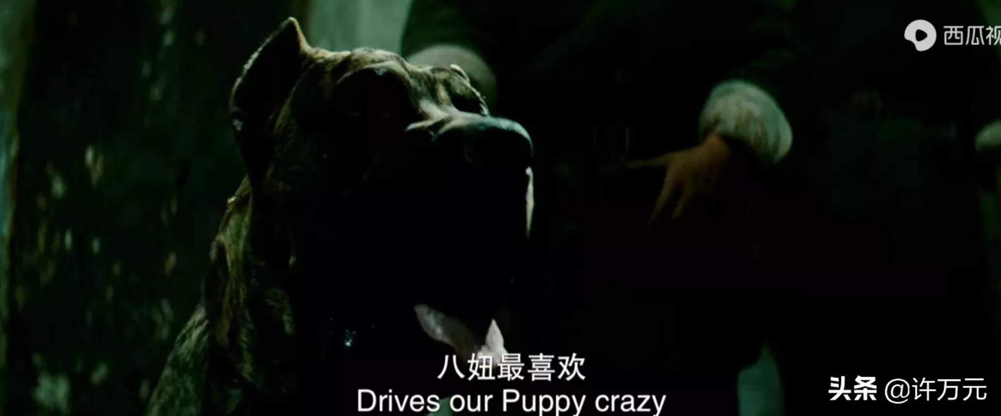 谍影《风声》五大酷刑惨无人道：裸刑凌虐李宁玉！绳刑戕害顾晓梦