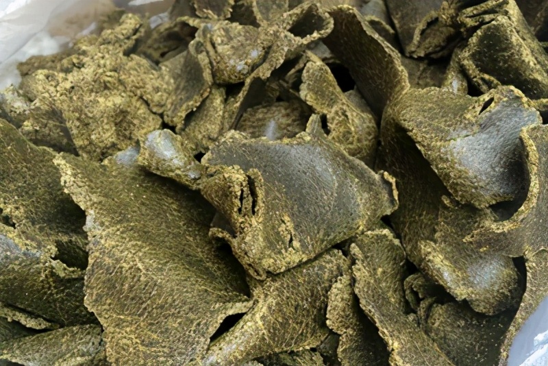 菜籽饼的营养价值如何?可以喂猪吗?怎样脱毒呢?