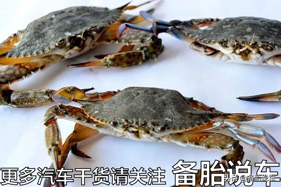 都说不懂车的看丰田，半懂车的买大众，我什么都懂，买啥？