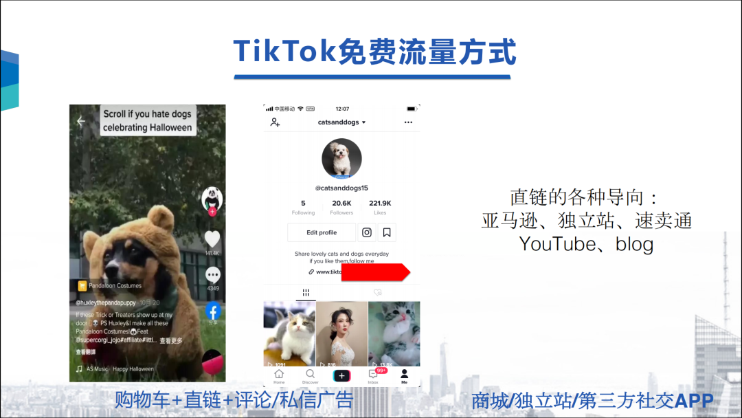 tiktok属于中国吗（tiltok和抖音区别）