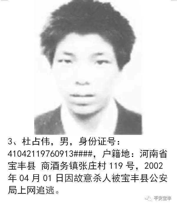 网上逃犯,网上逃犯名单查询系统